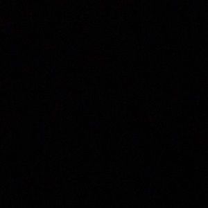 Meet your Posher, Sienna